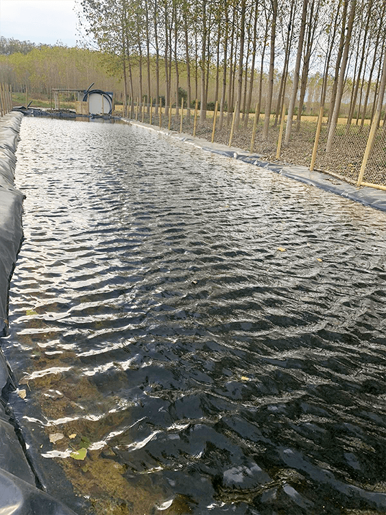 Sulama Göleti Hdpe Geomembran Uygulaması 17 Sulama Göleti Uygulaması